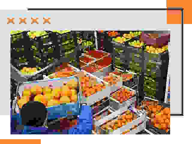 Перевозка скоропортящихся продуктов в Партизанске